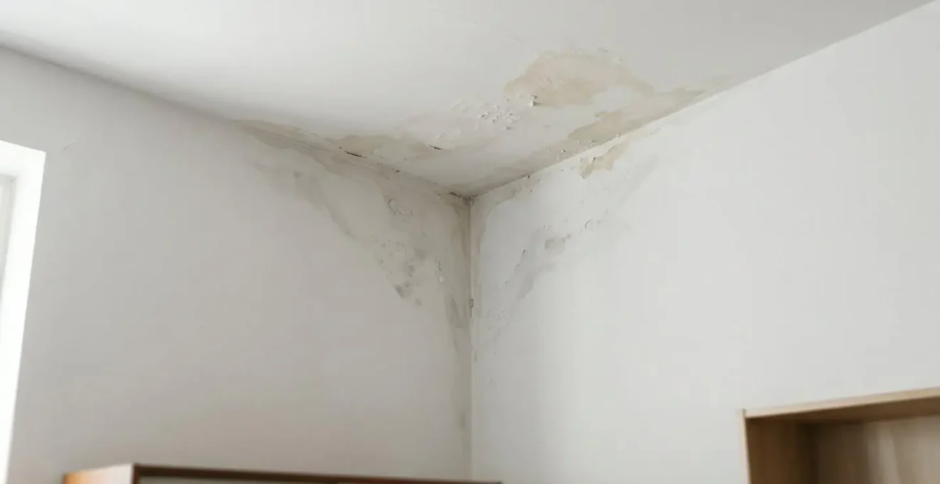 Traces d'humidité au plafond d'un appartement suite à une fuite venant de l'étage supérieur