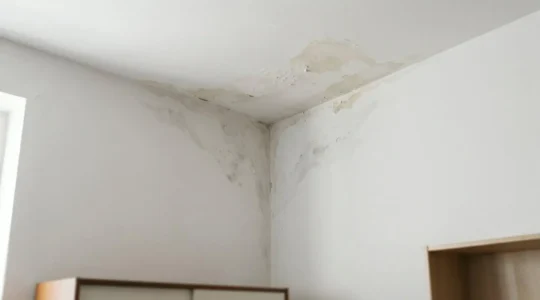 Traces d'humidité au plafond d'un appartement suite à une fuite venant de l'étage supérieur